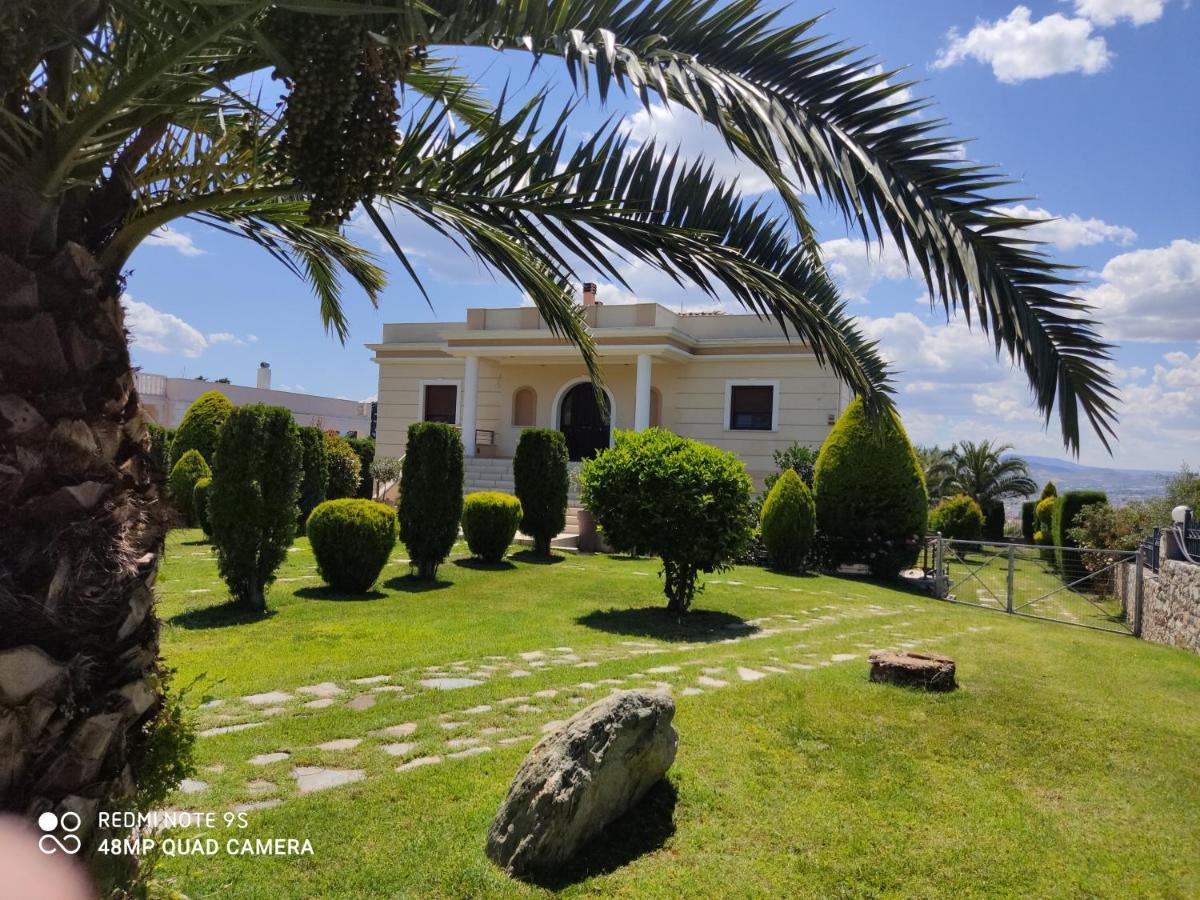 Luxury Villa Thea Volos Exterior foto