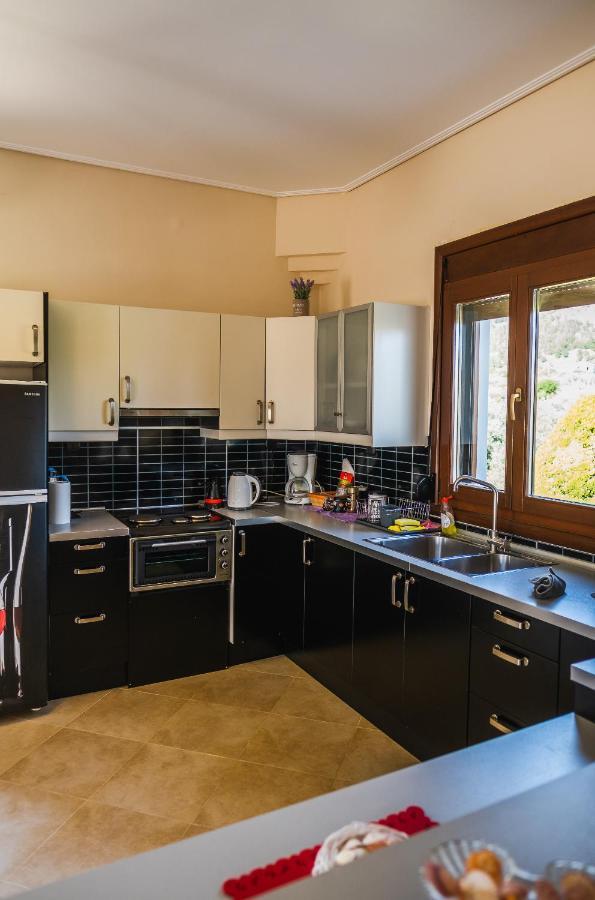 Luxury Villa Thea Volos Exterior foto