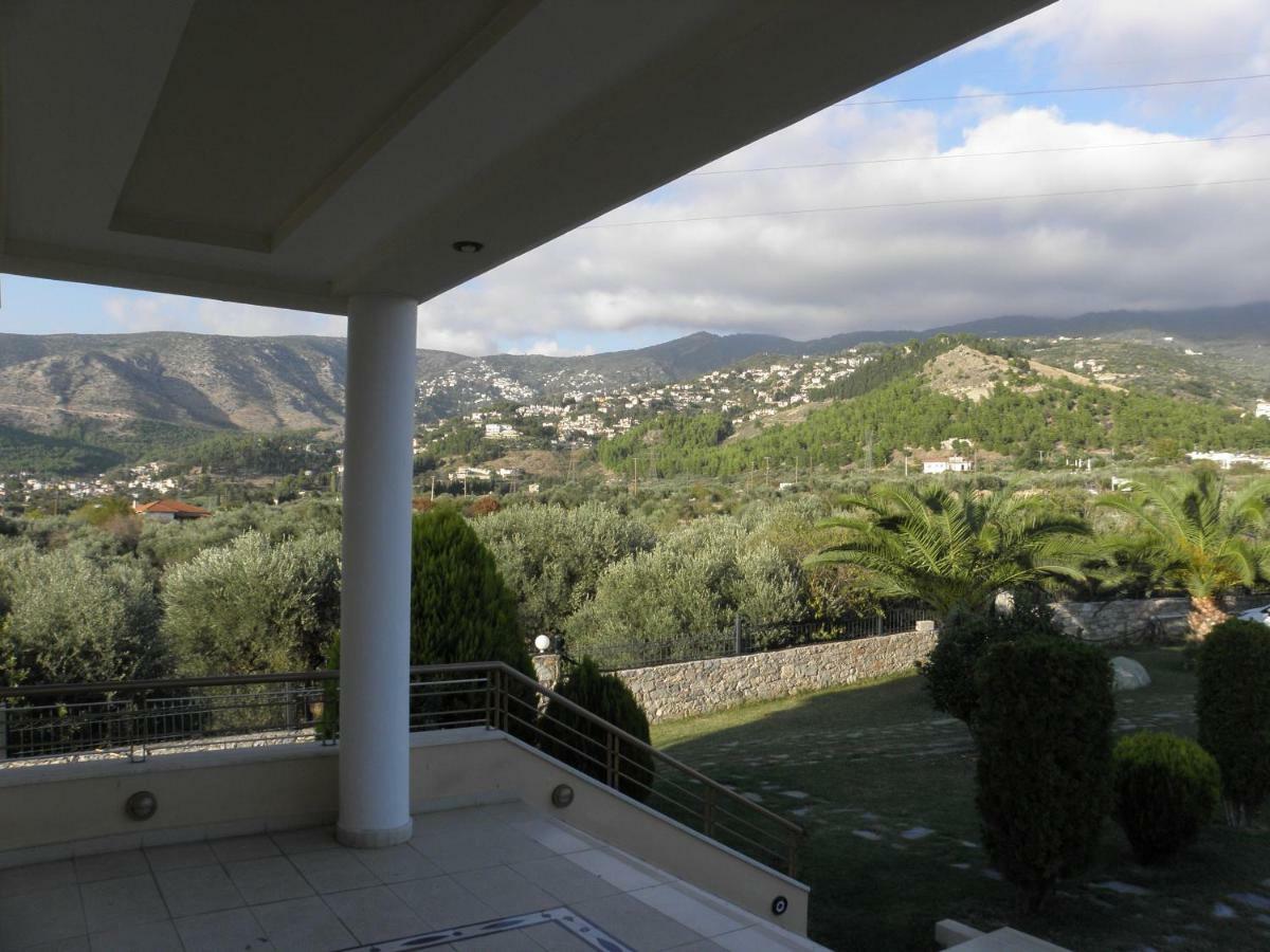 Luxury Villa Thea Volos Exterior foto